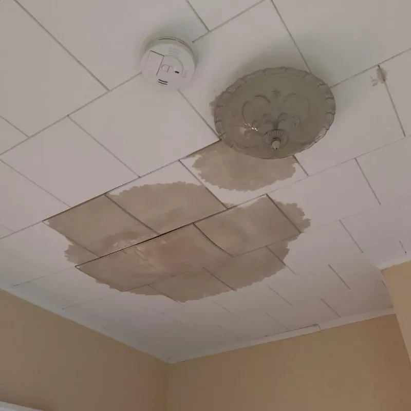 Ceiling Water Damage Repair in Amarillo, TX