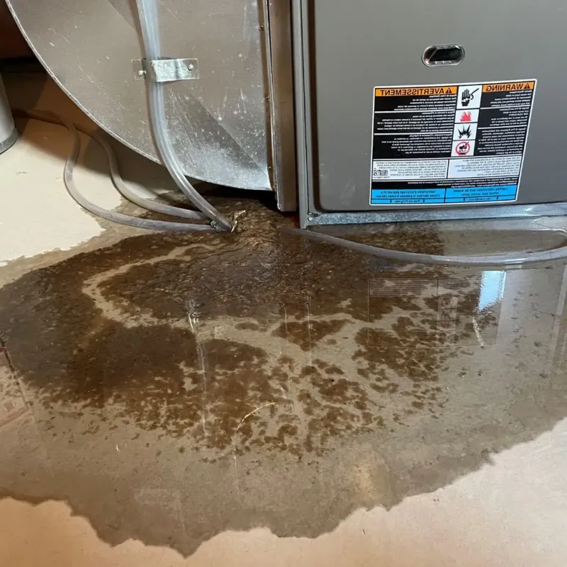 Pipe Burst and Leak Restoration in Amarillo, TX